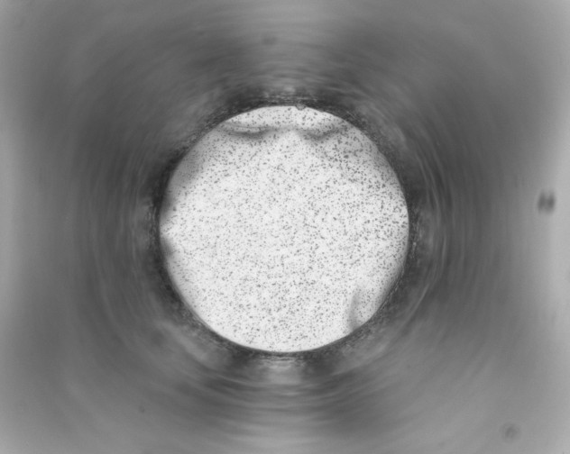 X0000090420659200708101943