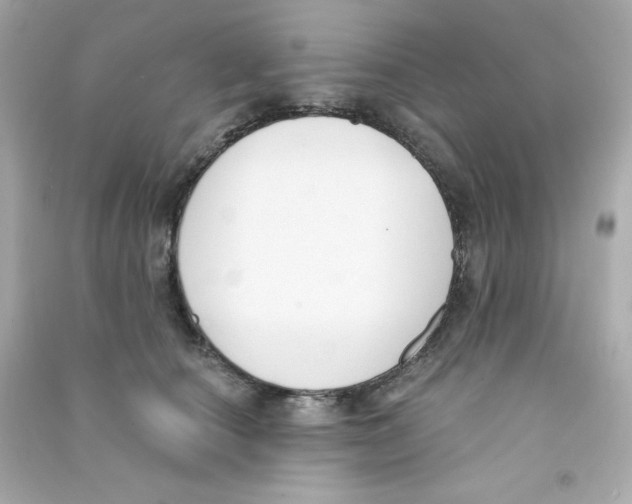 X0000090420660200708101943