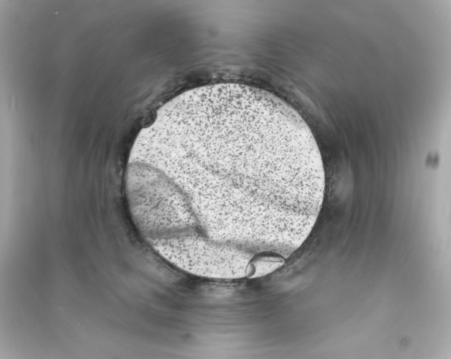 X0000090420661200708101943