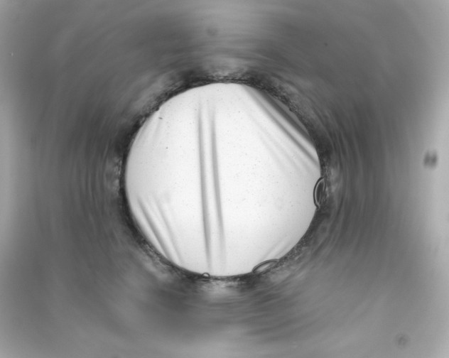 X0000090420664200708101943