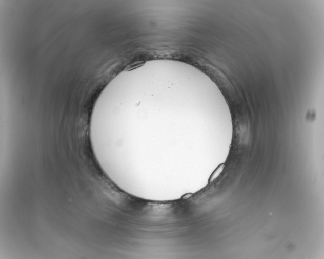 X0000090420665200708101943