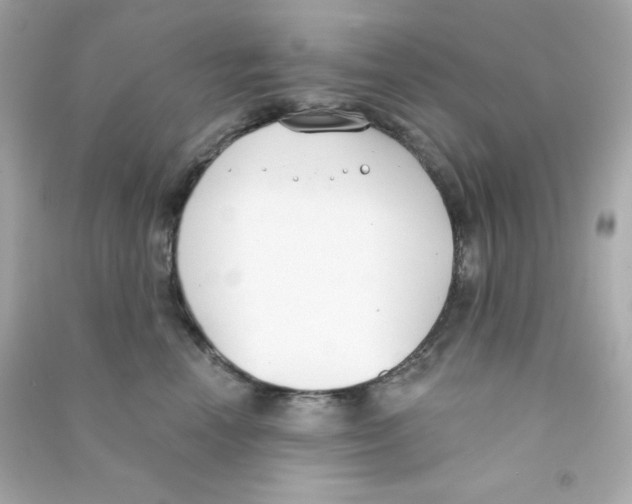 X0000090420666200708101943