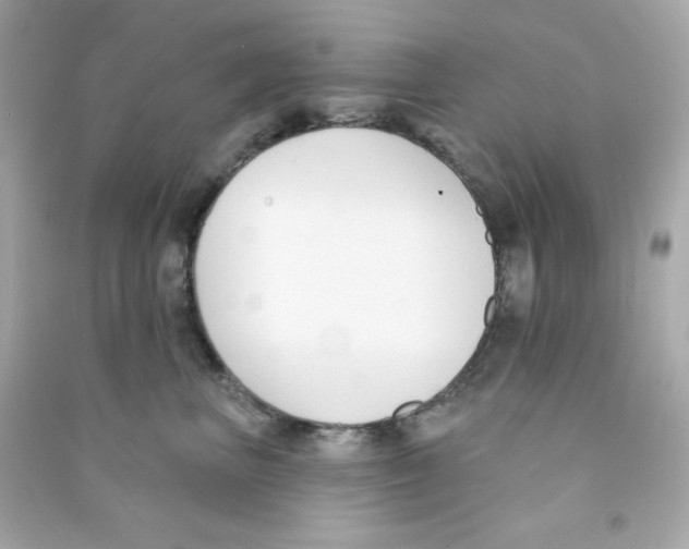 X0000090420667200708101943