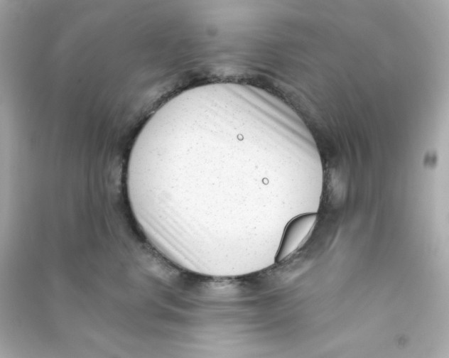 X0000090420668200708101943
