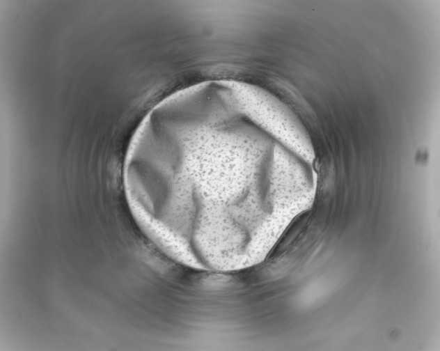 X0000090420669200708101943