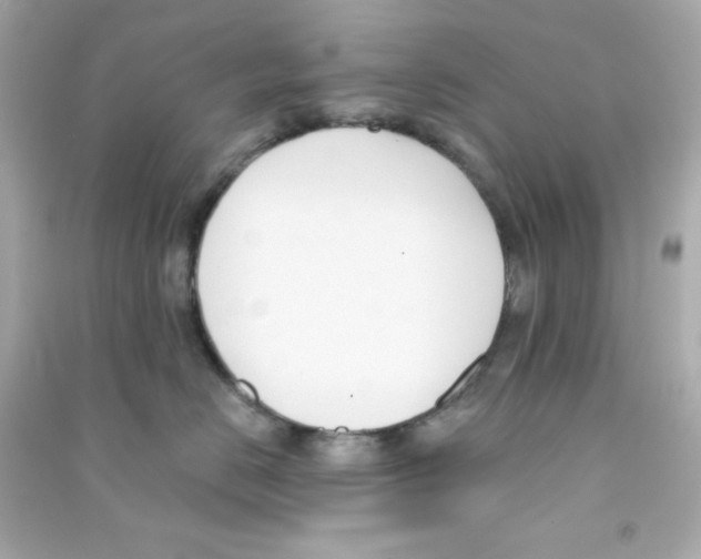 X0000090420670200708101943