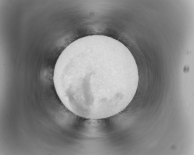 X0000090420672200708101943