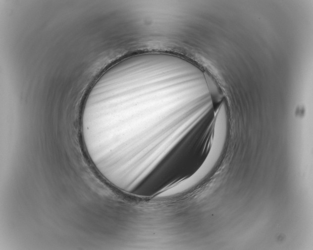 X0000090420673200708101943