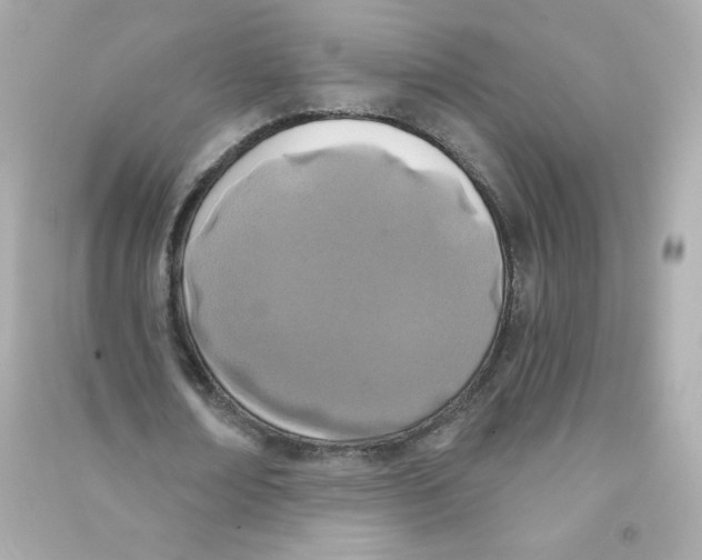 X0000090420674200708101943