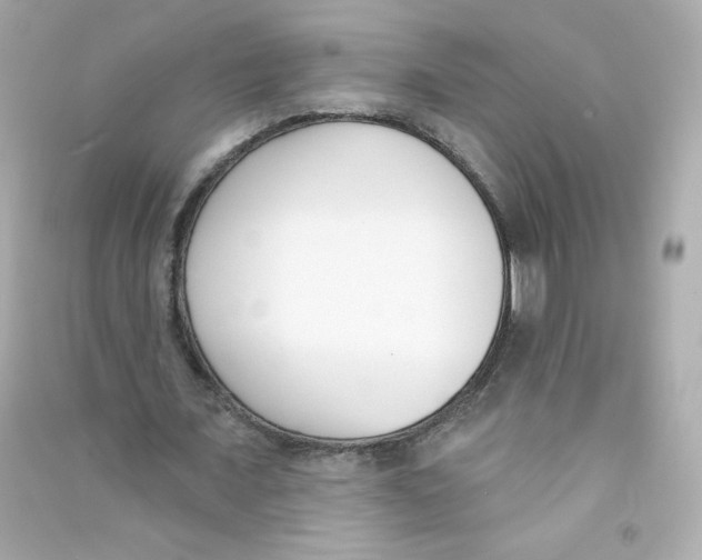 X0000090420675200708101943