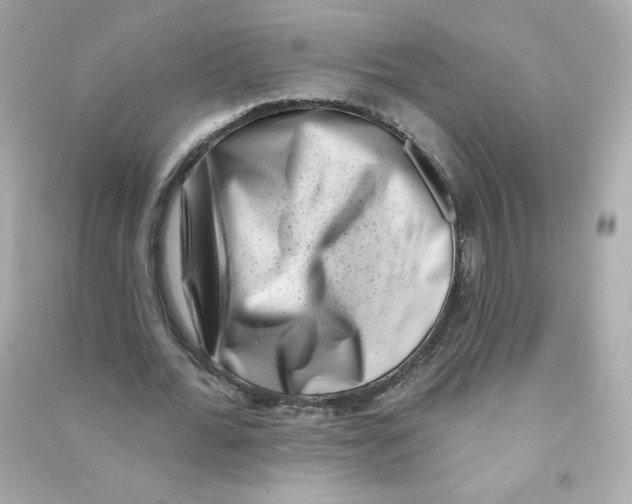 X0000090420676200708101943