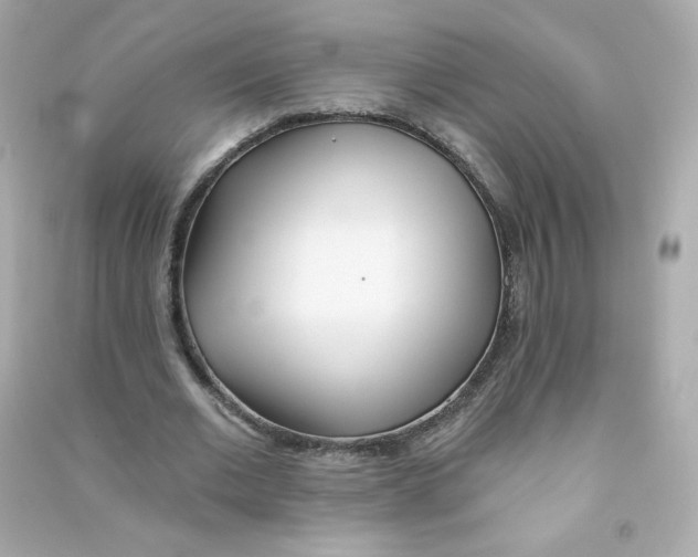 X0000090420677200708101943