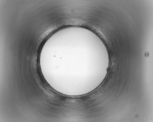 X0000090420679200708101943