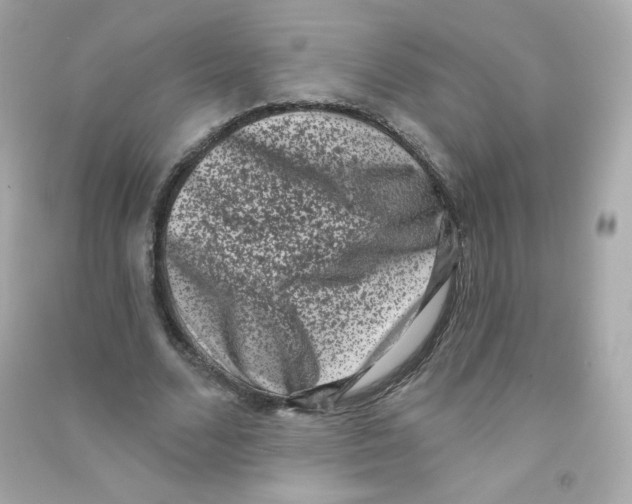 X0000090420680200708101943