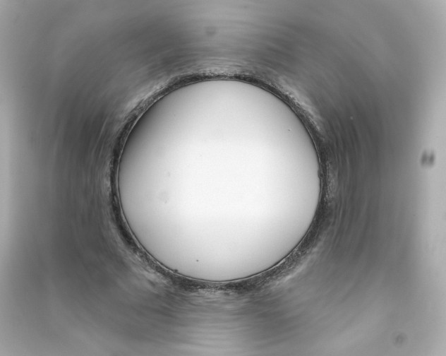 X0000090420681200708101943