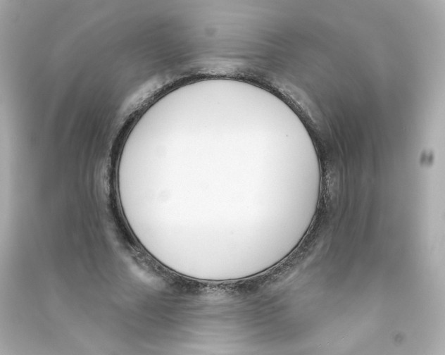 X0000090420682200708101943