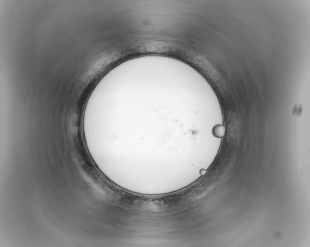 X0000090420683200708101943