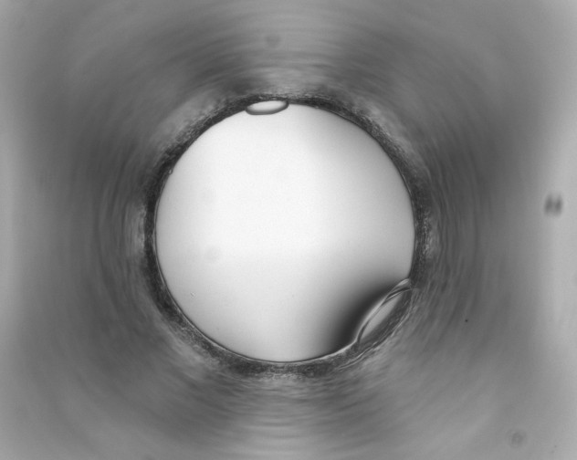X0000090420685200708101943