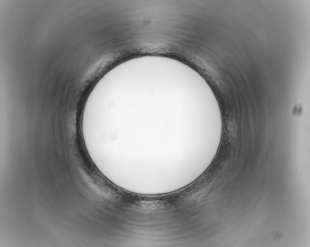 X0000090420686200708101943