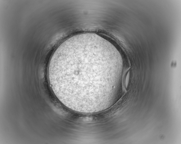 X0000090420687200708101942
