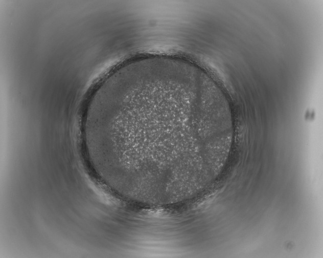 X0000090420688200708101942