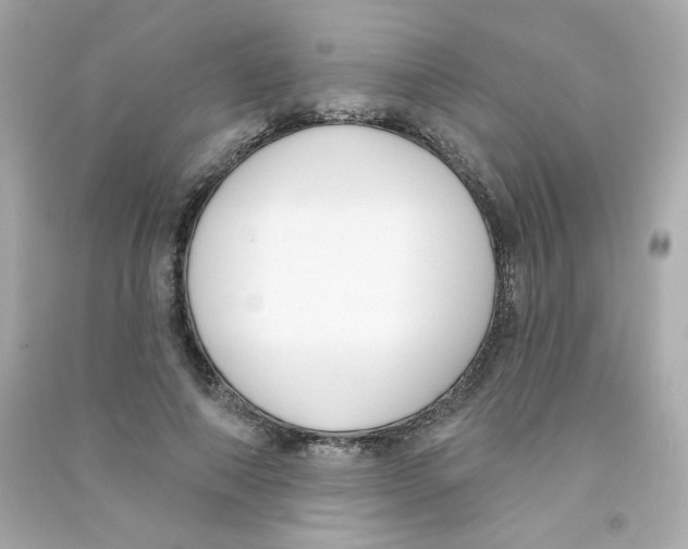 X0000090420690200708101942