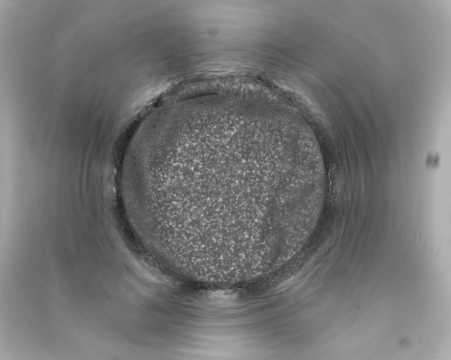 X0000090420692200708101942