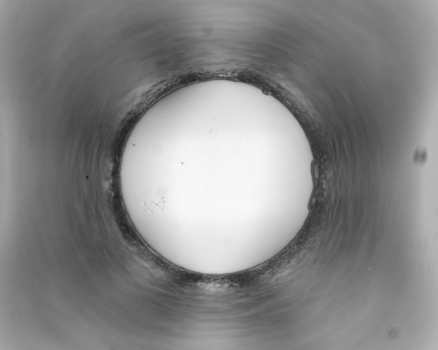X0000090420693200708101942