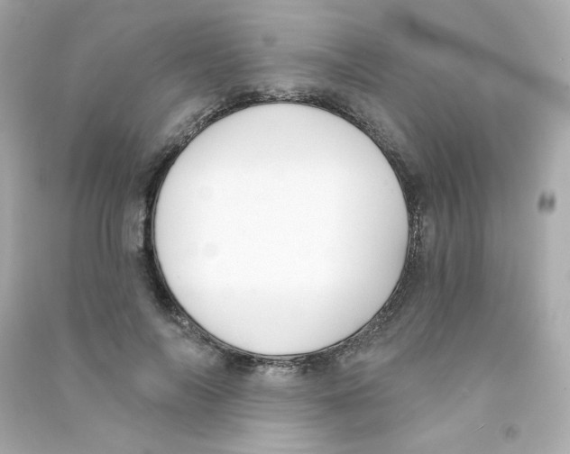 X0000090420694200708101942