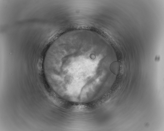 X0000090420695200708101942