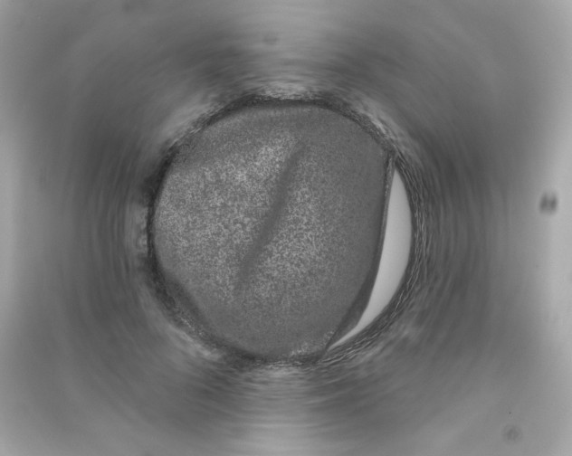 X0000090420696200708101942