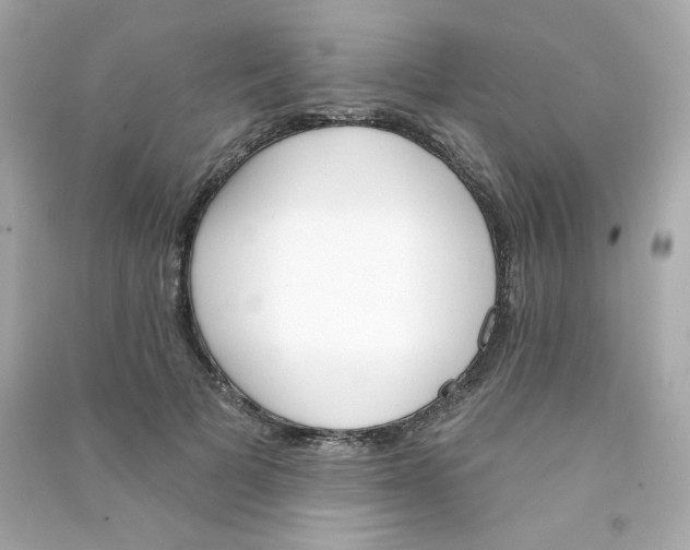 X0000090420697200708101942