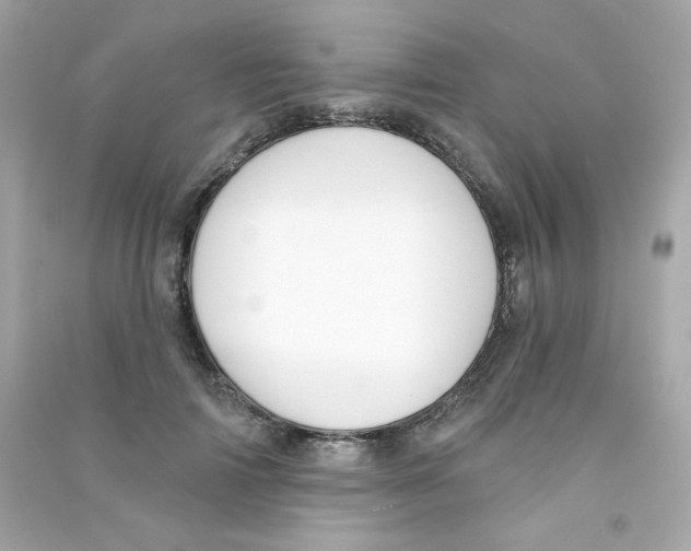 X0000090420698200708101942