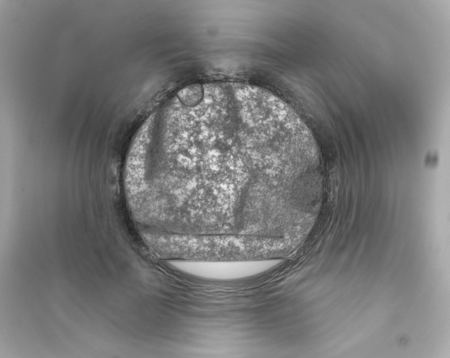 X0000090420699200708101942