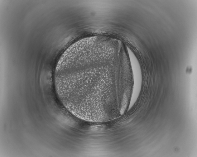 X0000090420700200708101942