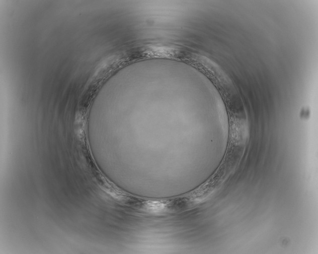 X0000090420701200708101942