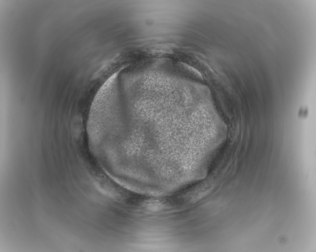 X0000090420704200708101942