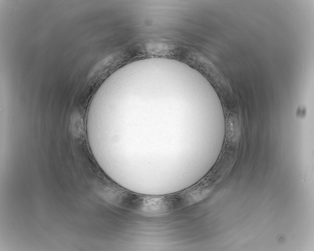 X0000090420705200708101942