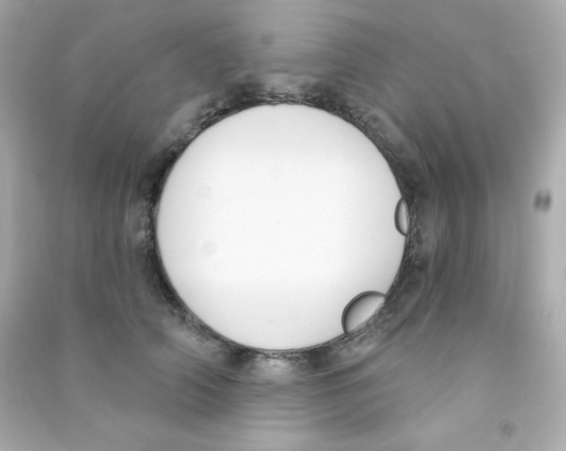 X0000090420706200708101942