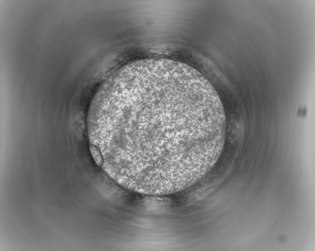 X0000090420707200708101942