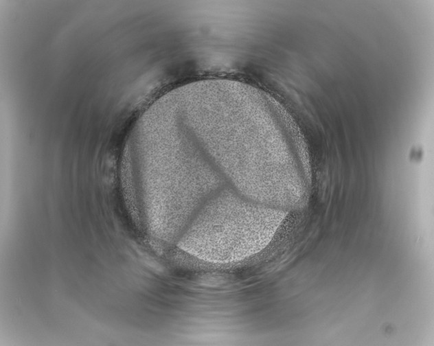 X0000090420708200708101942