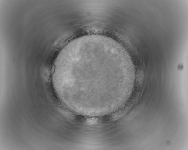 X0000090420709200708101942