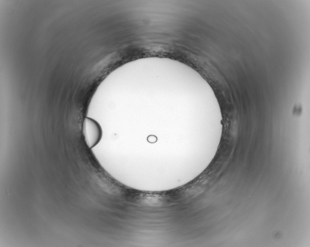 X0000090420710200708101942