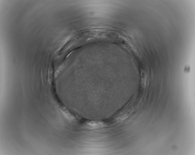 X0000090420712200708101942