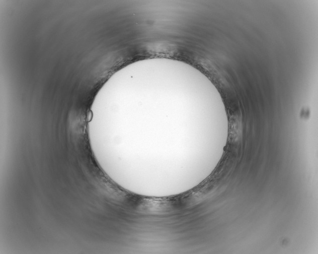 X0000090420713200708101942