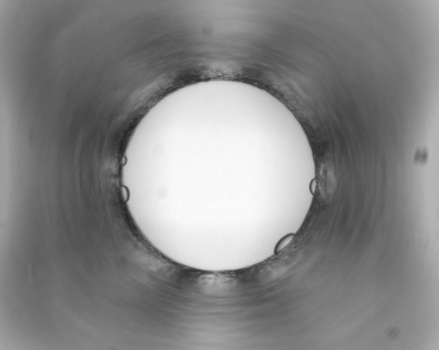 X0000090420714200708101942