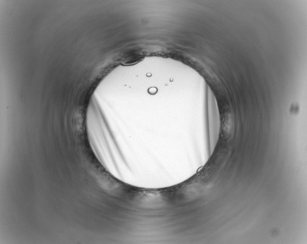 X0000090420715200708101942