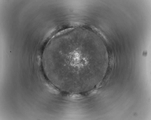 X0000090420716200708101942