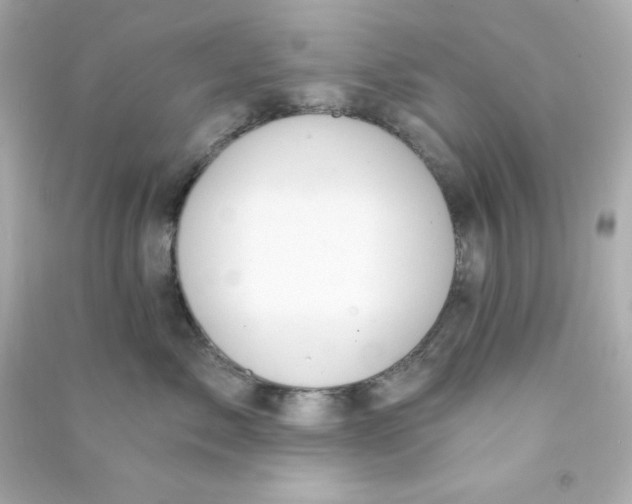 X0000090420717200708101942