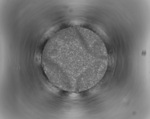 X0000090420718200708101942